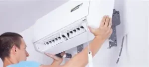 Descarga